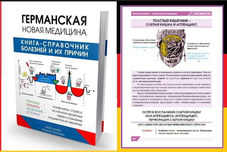 Райк Хамер справочник / книги купить