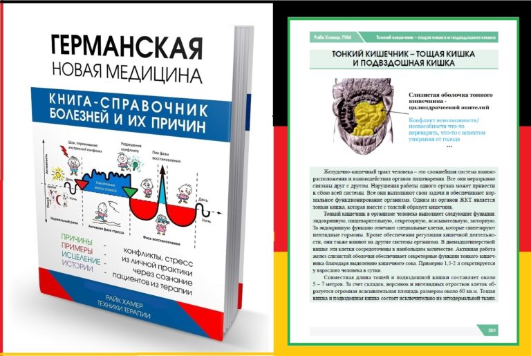 Новая Германская Медицина Райка Хамера / книги купить