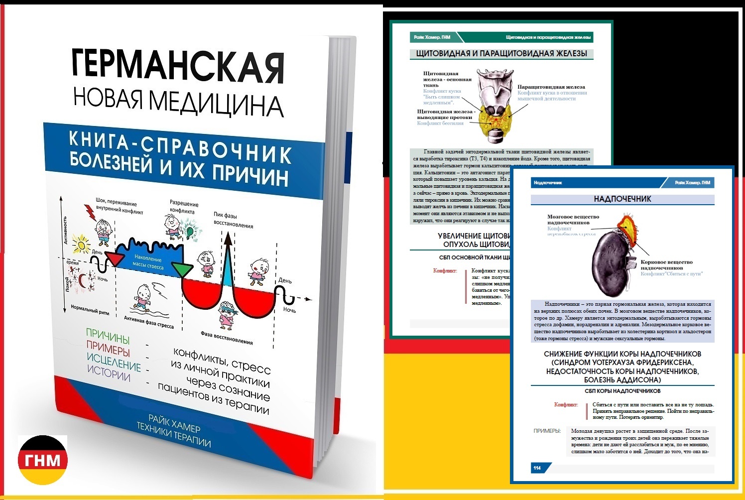 Новая германская медицина. Германская новая медицина Хаммер книга. Справочник Германская новая медицина. Новая немецкая медицина книга. Германская новая медицина книга справочник.