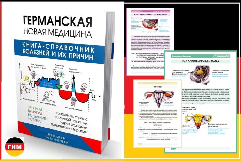 Гинекология шейка матки