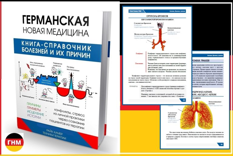 Биология дыхательная система
